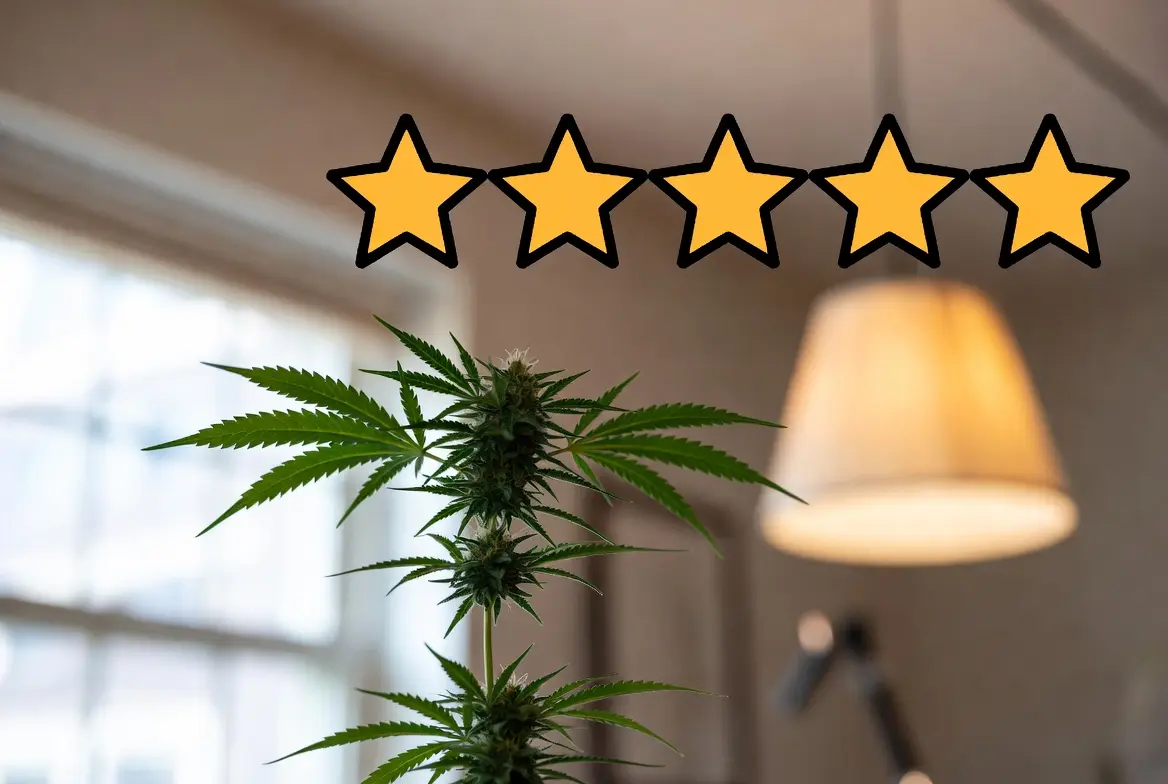 5starsstocks.com Cannabis